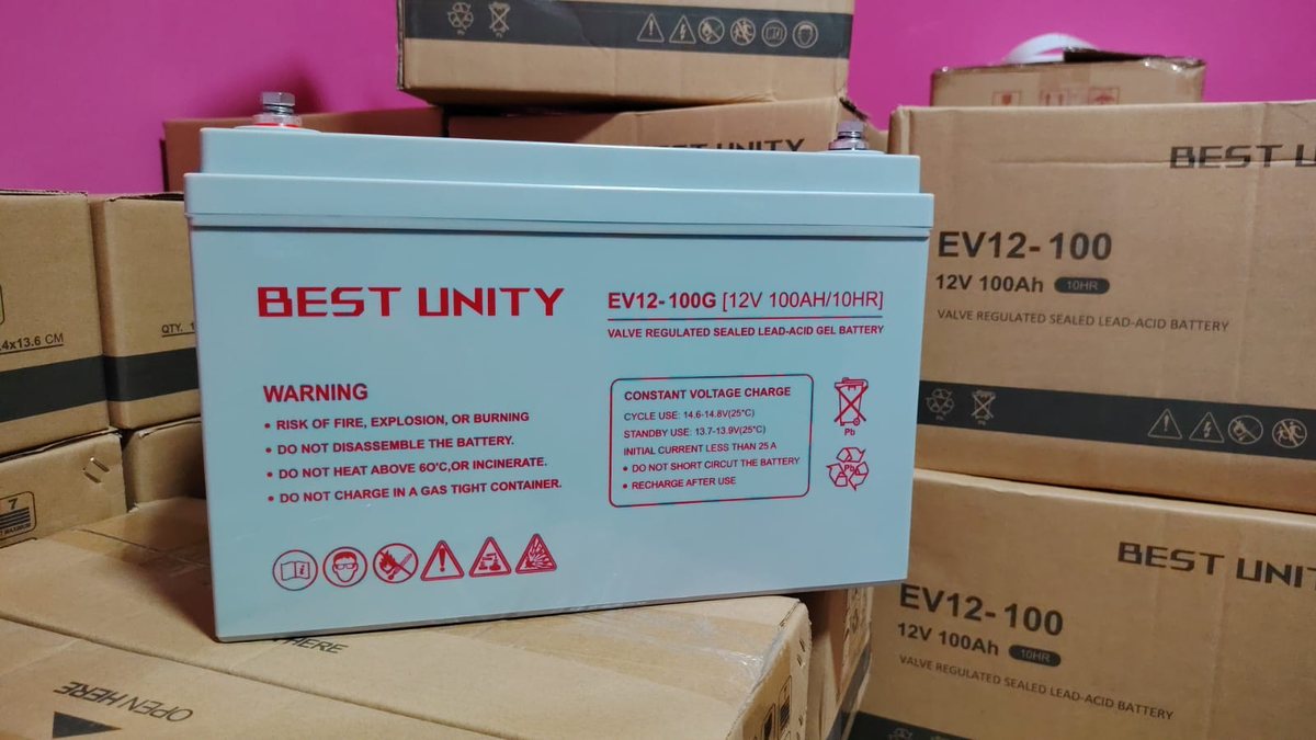 BEST UNITY - Batería Gel 12V 100Ah EV12-100G - imagen 2