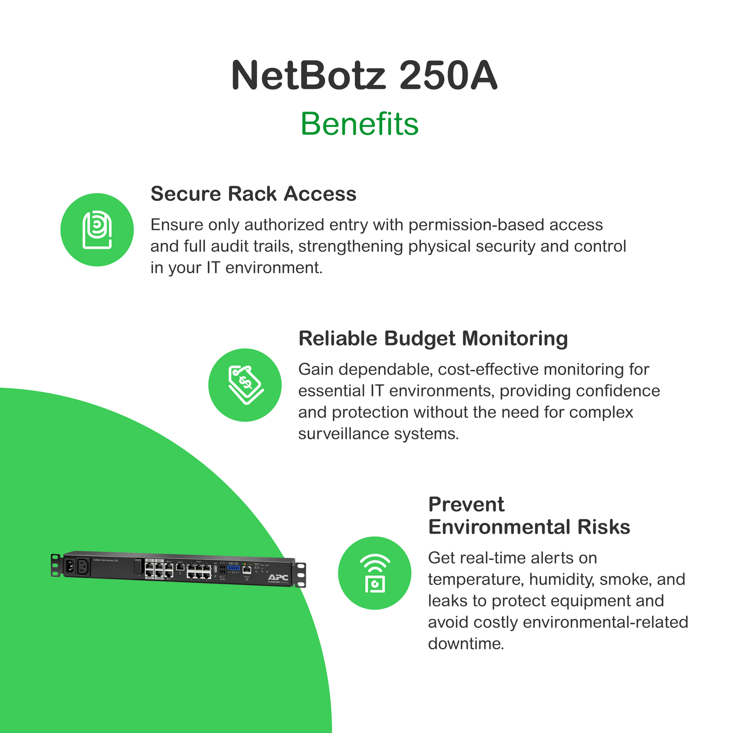 APC NetBotz Rack Monitor 250 NBRK0250A - imagen 2